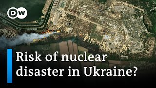 Ukrainian nuclear plant briefly without power | DW News