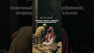 ﷽ : • |  Чтец: «Мухаммад Аль-Люхайдан»• |  Сура: «Лукман»• | Аяты: «17»