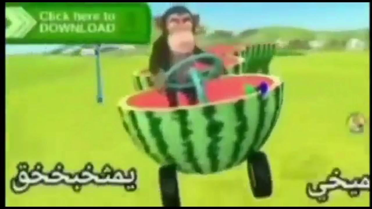 Обезьяна с арбузом