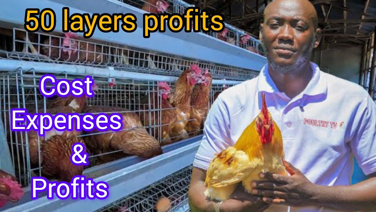 Are 50 Layers even profitable? Dont miss this Video #beginners 