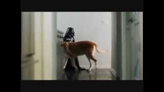 Vw Commercial The Force Extended Version