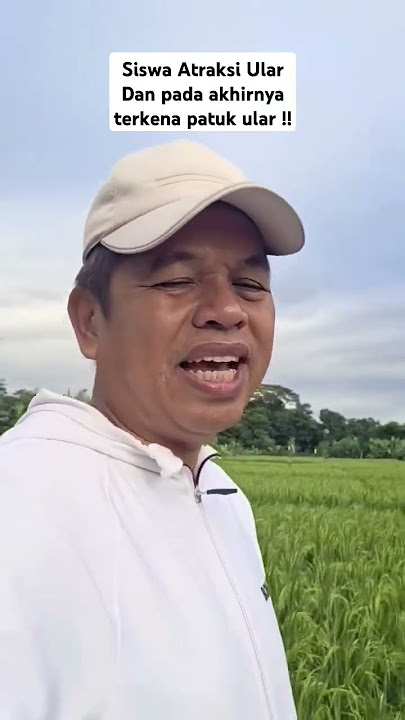 Akibat Atraksi Ular, abah kobra meninlgal kena patuk ular ❗❗Himbauwan dari KDM #kdm #kangdedimulyadi