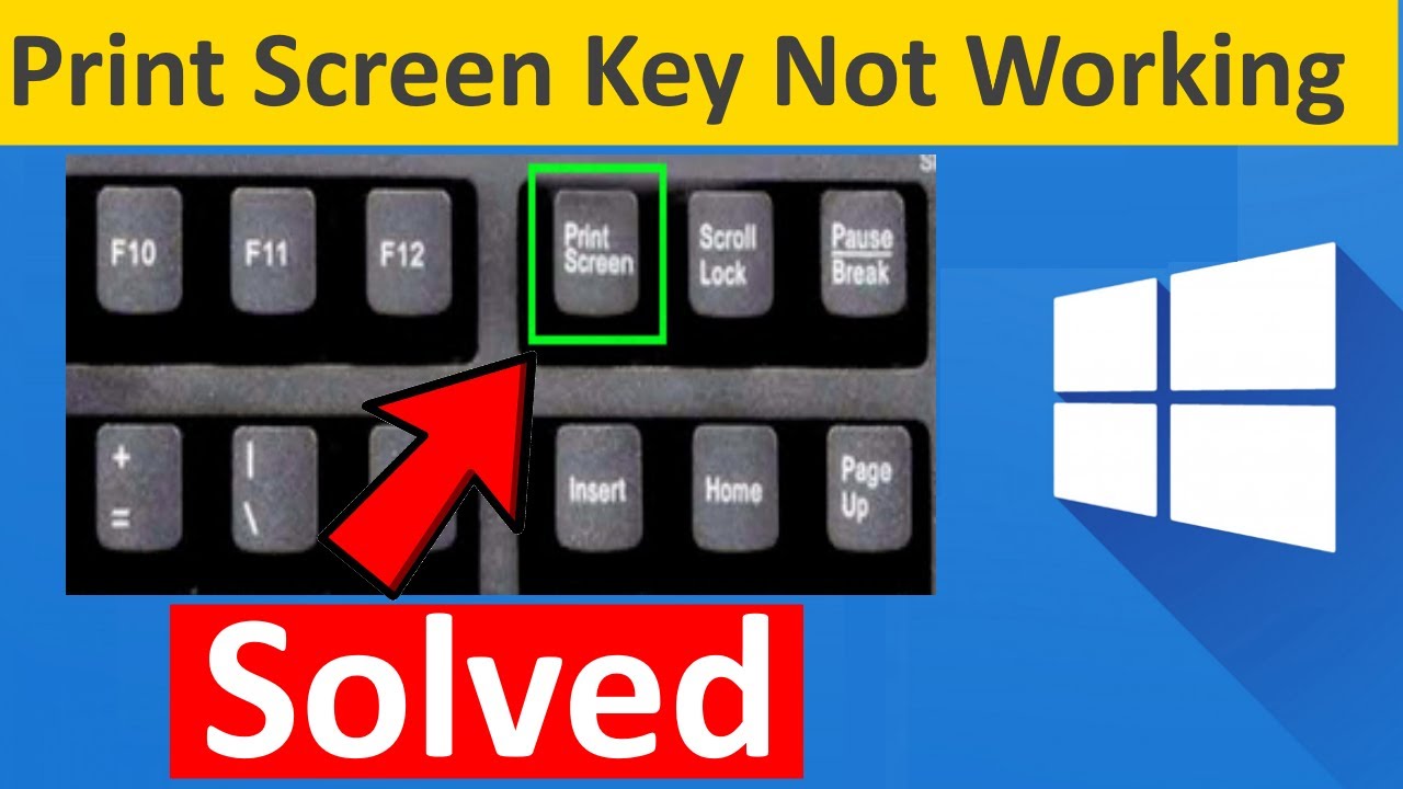 Retired complete take down print screen key not working windows 11 ...