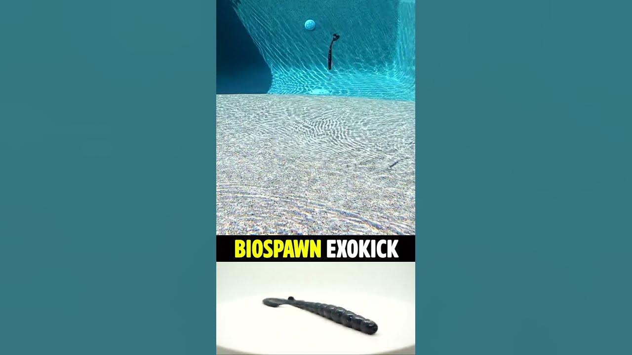 BioSpawn ExoKick Bass Fishing Worm #shorts #fishing #bassfishing 