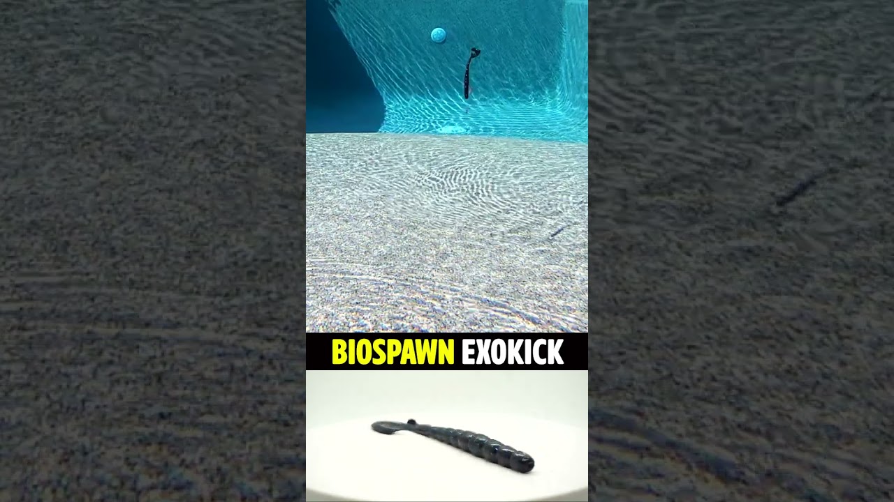 BioSpawn ExoKick Bass Fishing Worm #shorts #fishing #bassfishing