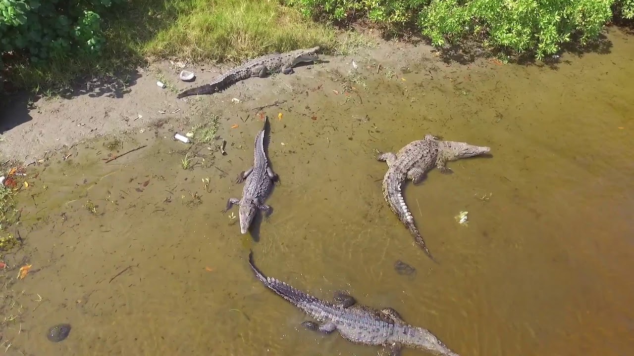 Barra de santa Ana dron