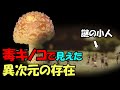 キノコ中毒で見えた謎の「小人」、彼らは異次元の存在？【真実の目】