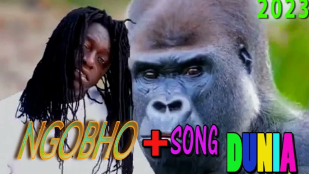 NGOBHO SONG DUNIA OFFICIAL AUDIO 203 4K Dir Kali video production 0747040959