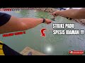 STRIKE PADU SPESIS IDAMAN  !!! [MALAYSIA FISHING CHANNEL]