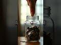 The Garden Approach to Safer Crypto Bets