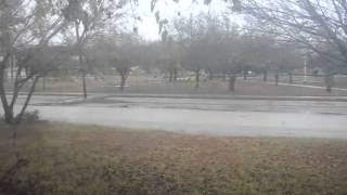 Juric Park 3 Ceratosaurus Fx