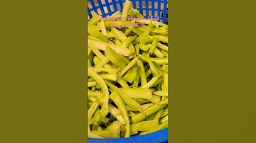 Cải rổ xào tỏi dễ ăn dễ làm chay mặn đều dùng được| Stir fried chinese broccoli(gailan) #shorts