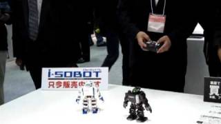 The smallest biped robot