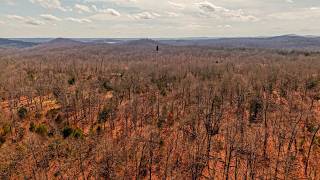 Surveyed Wooded Acreage in the Ozarks | TBD Private Drive County Road 803b, Gainesville, Missouri
