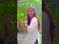 Prem meri neeli sarate short video please like 🙏🙏