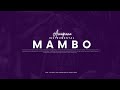 Free Amapiano Instrumental Beats 2022 - 