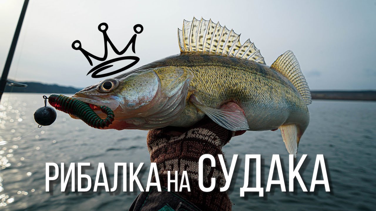 Рибалка на судака. День сходів