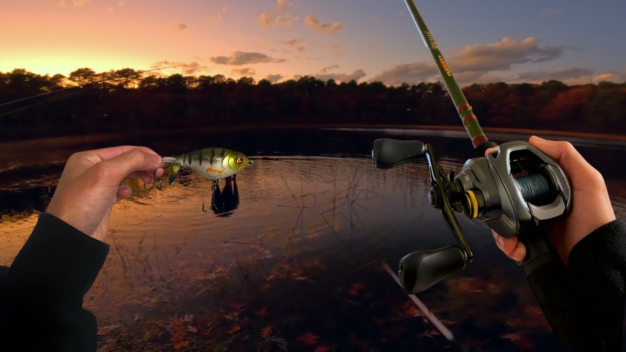 Night Fishing Top Water With The Boys! (BIG BASS)