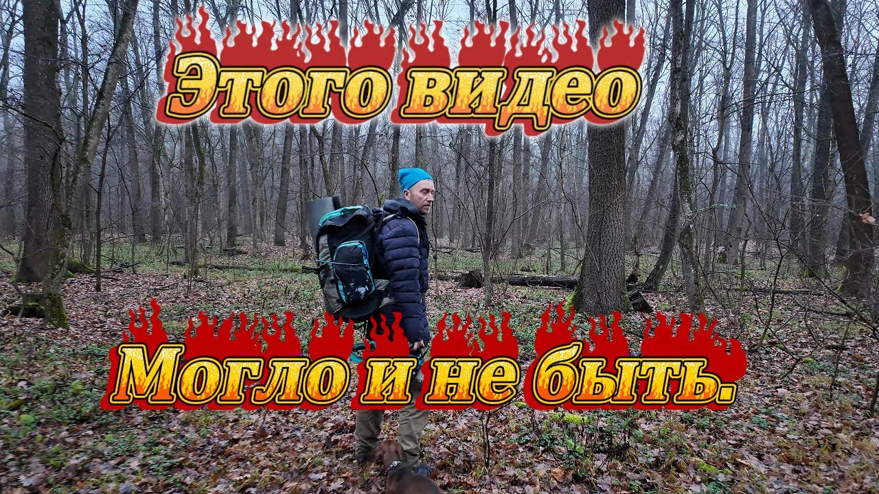 Домик в лесу. История, которая чуть не исчезла.