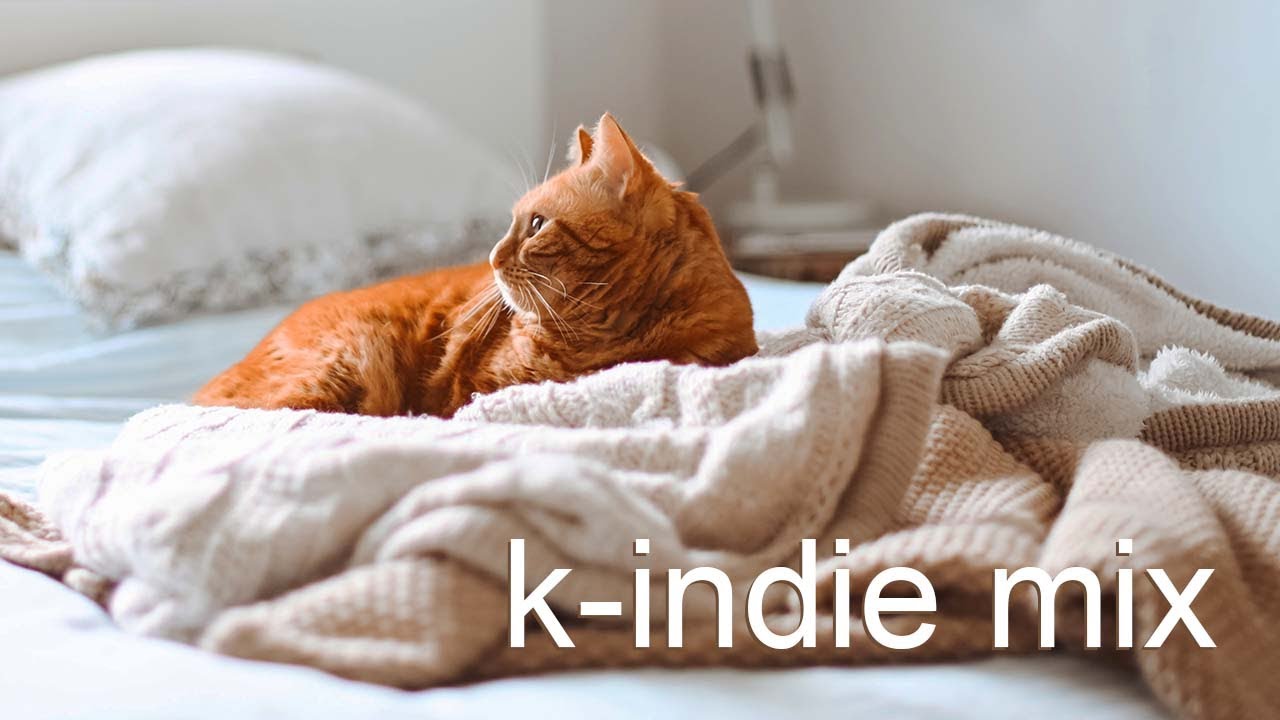 k-indie mix to chill to with your cat - 『 𝐅𝐄𝐀𝐑𝐋𝐄𝐒𝐒 𝐏𝐋𝐀𝐘𝐋𝐈𝐒𝐓𝐒 』