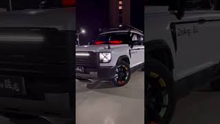 Miootly Flexible Devil Eyes Screen | Custom LED Pixel Animation for Your Car