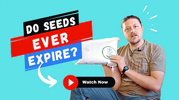 Jak poznáte, že se semena zkazila?