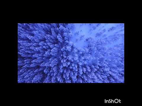 علي ماايقولوا من الأغاني الجميلة جدا للفنان ابراهيم فهمي لاتمل من سماعها 9187