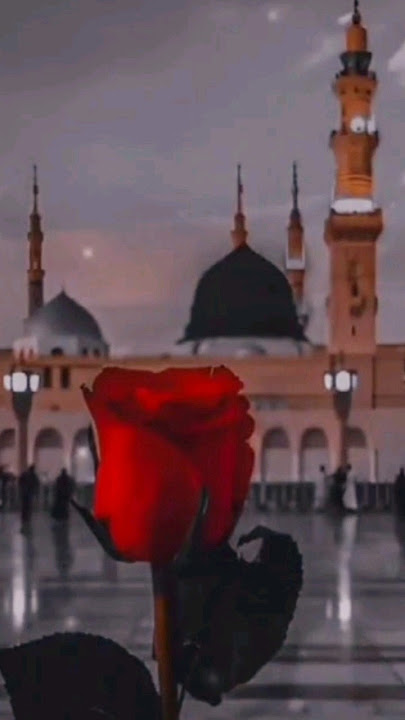 Mawlaya By Maher Zain |#nasheed #islamicvideo #trending