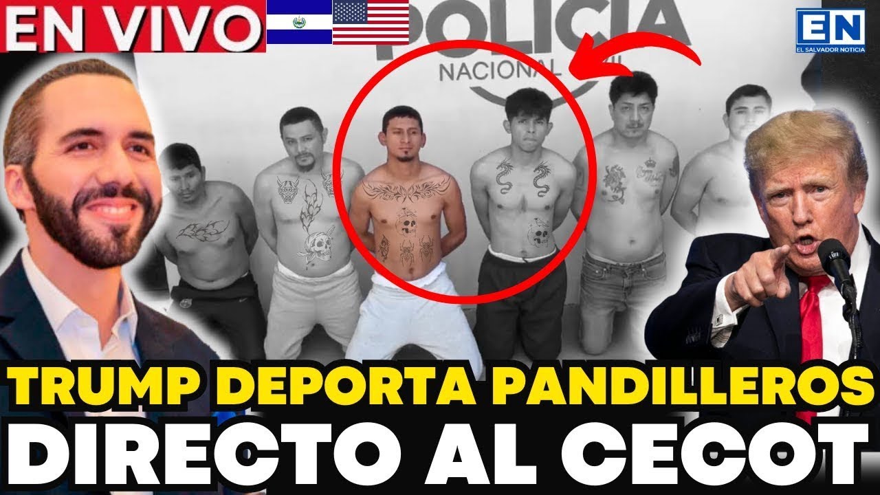 TRUMP DEPORTA A MILES DE PANDILLEROS A EL SALVADOR BUKELE LOS ENVIA AL ...