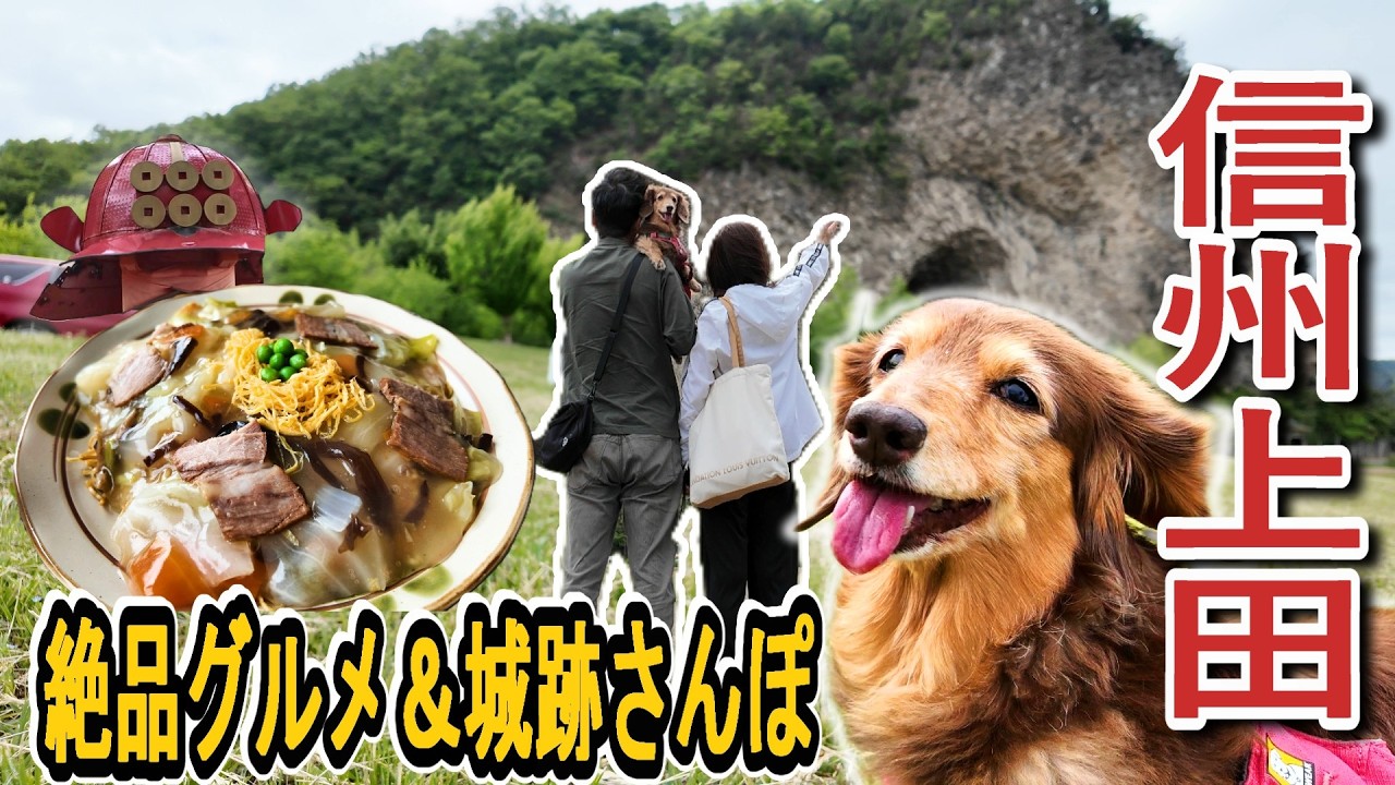いぬ Shinshu Ueda Sightseeing] 2-Day, 1-Night Dog-Friendly Travel