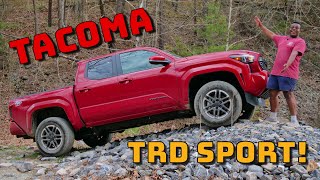 1200 Miles with The New 4th Gen Toyota Tacoma! Oh What A Feeling?