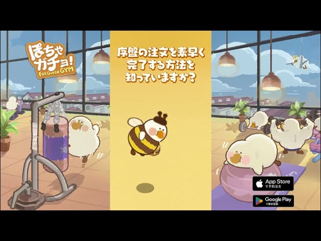 ぽちゃガチョ