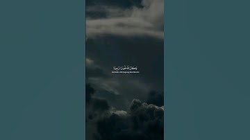 محمد اللحيدان - سورة الفرقان| وكان الله غفورا رحيما #قرآن #اكسبلور  #تلاوة_خاشعة  #راحة_نفسية #fyp