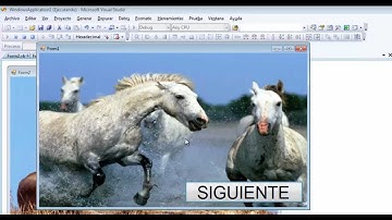 DE UN FORM A OTRO EN VISUAL BASIC 2008 O VISUAL STUDIO