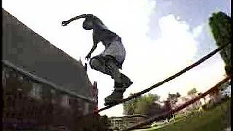 Steve lerner