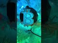 BTC Ornaments!