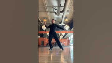 Whisk - follow me #whisk #tiktok #tiktokwhisk #samba