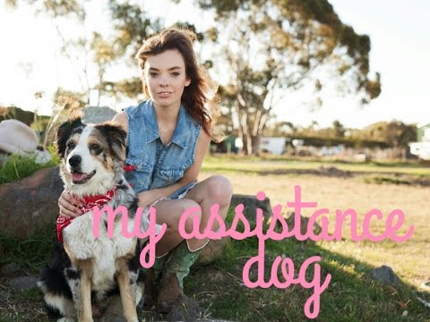autism-assitance-dogs
