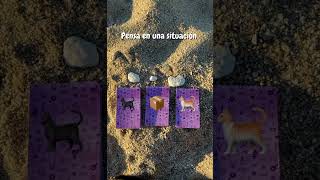 Mensaje del destino 🐈‍⬛ screenshot 2