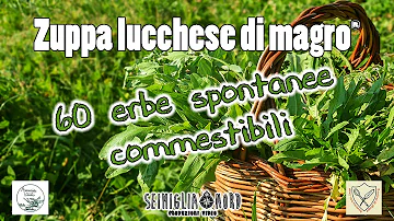 Che spezie usare con i piselli?