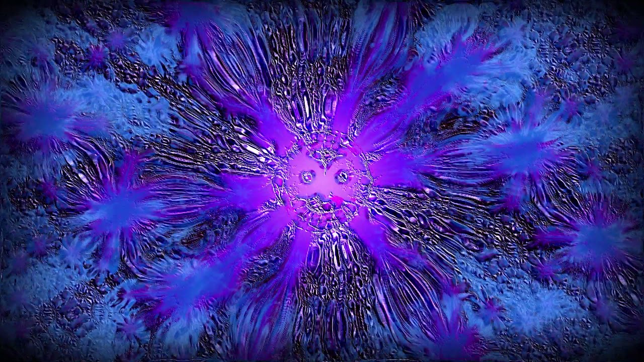Watch White Noise Owl - I Know You Know on YouTube Watch White Noise Owl - I Know You Know on YouTube