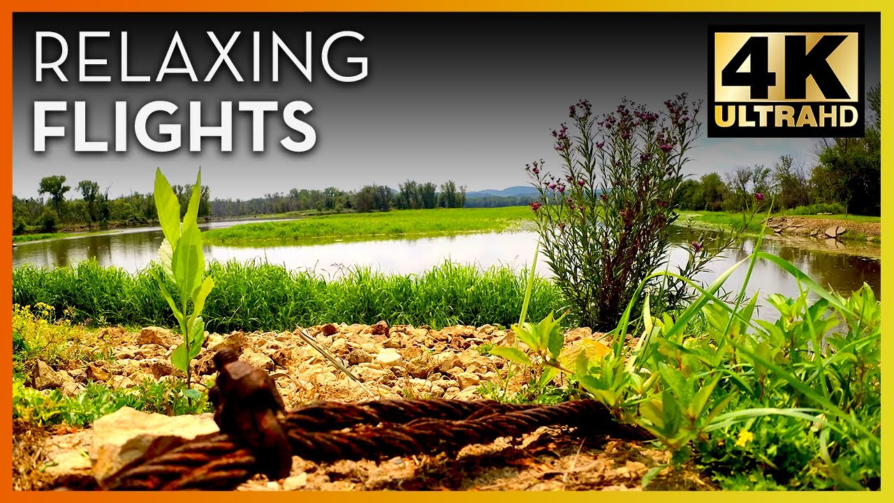 Mesmerizing Mississippi River Dock at Eagles Roost Resort