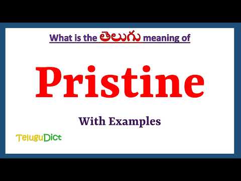 Pristine Meaning in Telugu | Pristine in Telugu | Pristine in Telugu Dictionary |