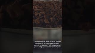 Kahve İçmeden Ayılamayanlar Buraya ☕️ Yapay Zeka Ne Diyor? Resimi