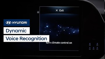 Dynamic Voice Recognition | Bluelink