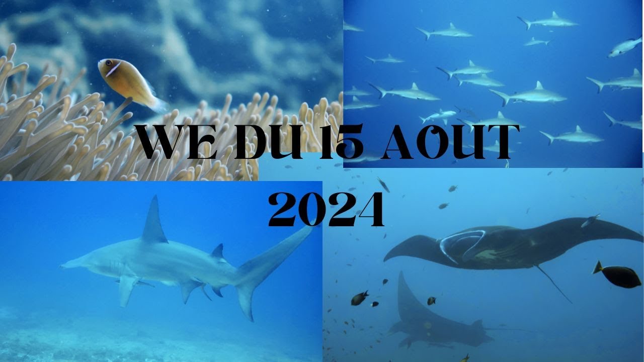 Week End 15 Aout 2024
