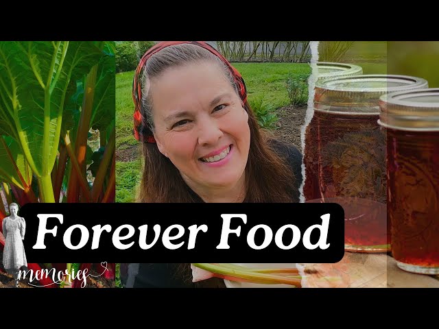 #1“Forever Food” Found in All Mennonite Gardens class=