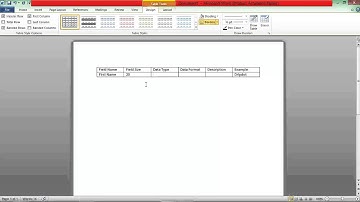 How to create a Data Dictionary
