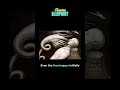 HR Giger's designs on Alien universe