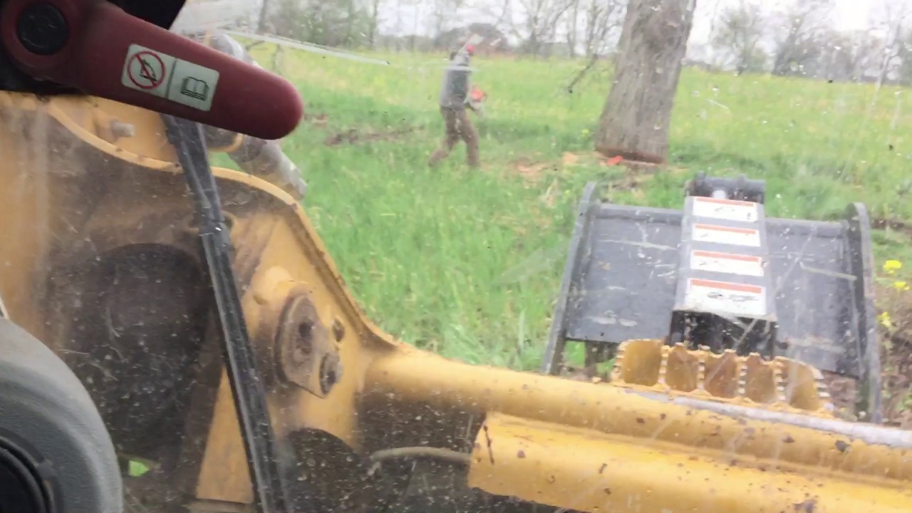 Hickory Log recovery Dexter, Mi